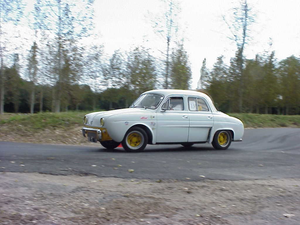 Une dauphine sur le circuit