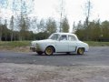 Une dauphine sur le circuit